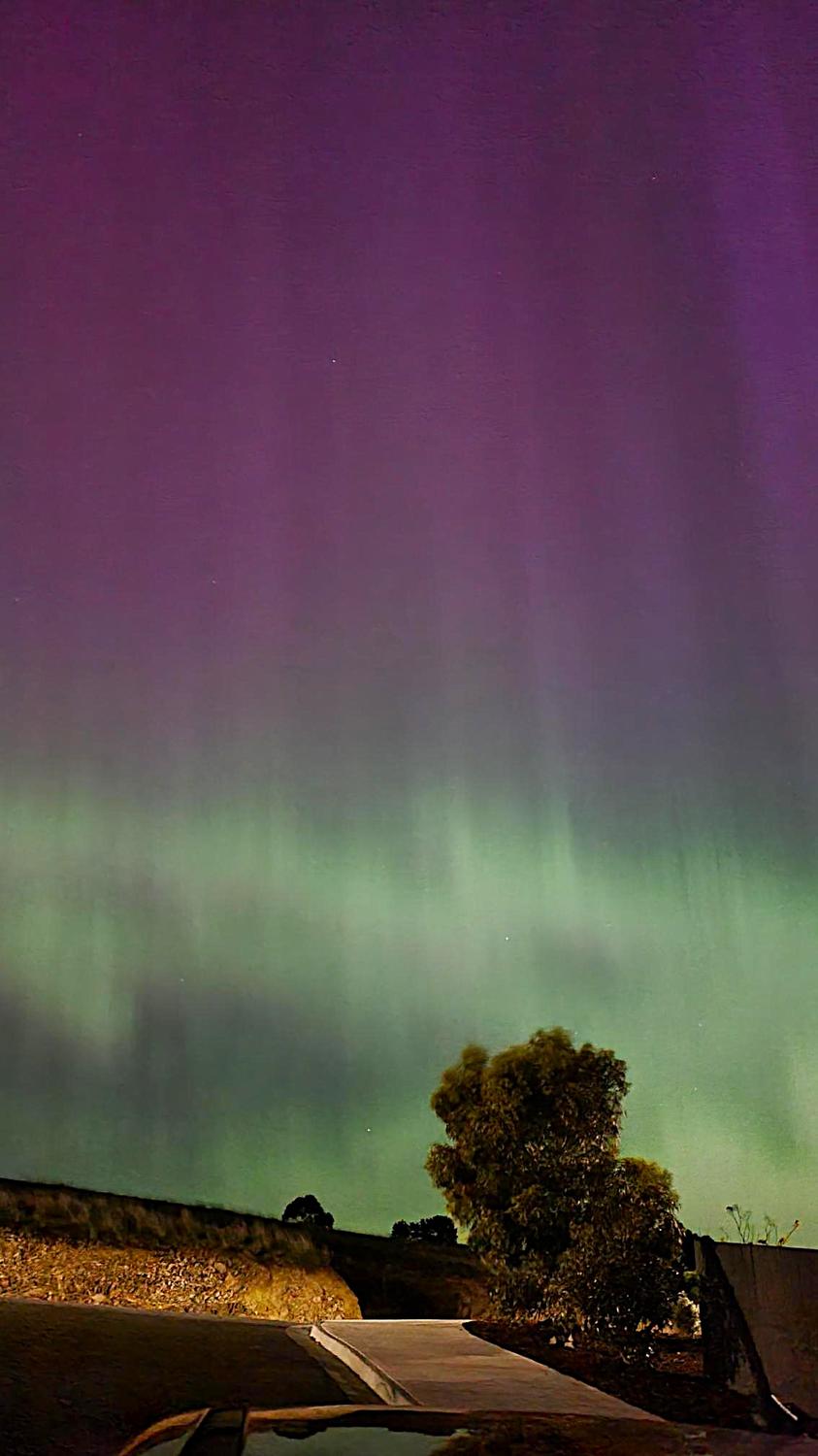 Purposeful ROMP Accidental Aurora